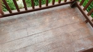 20180628_120758.jpg
