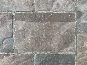 IMG_2226.JPG