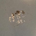 Rust-Oleum EPOXYSHIELD Peeling