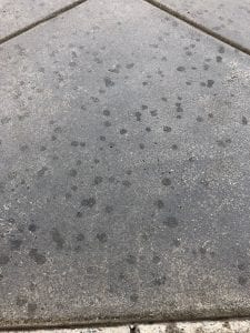 STAINED CEMET.jpg