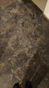 basement flood floor.jpg