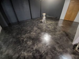 industrial-look-stained-concrete-basement-floor-steel-gray-silver-black-colorwave-pet-dog-scaled.jpg