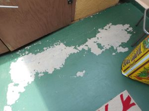 Lagre-patch-south-edge