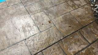 Stamped Concrete Turned White